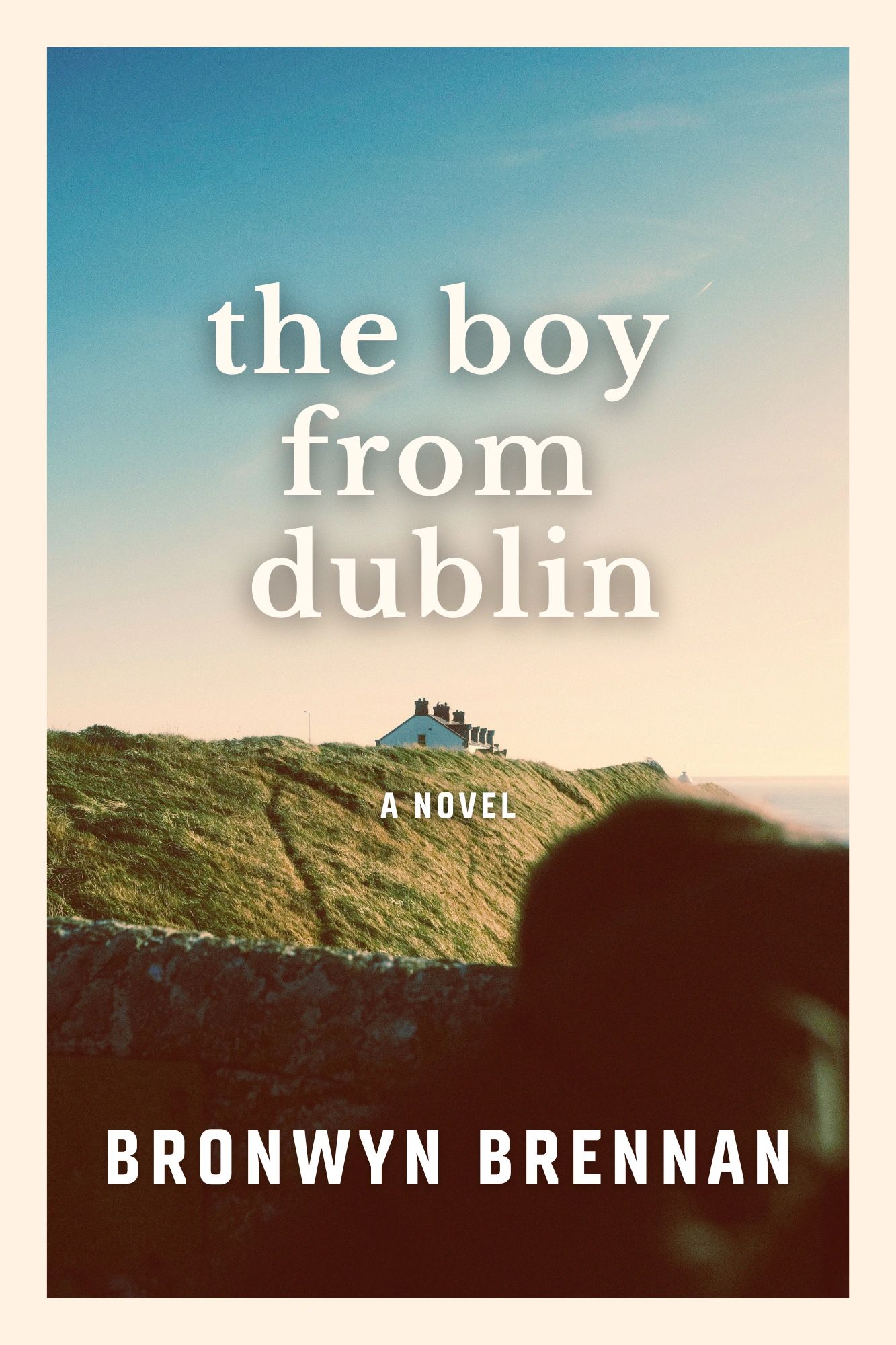 Cover of The Boy from Dublin