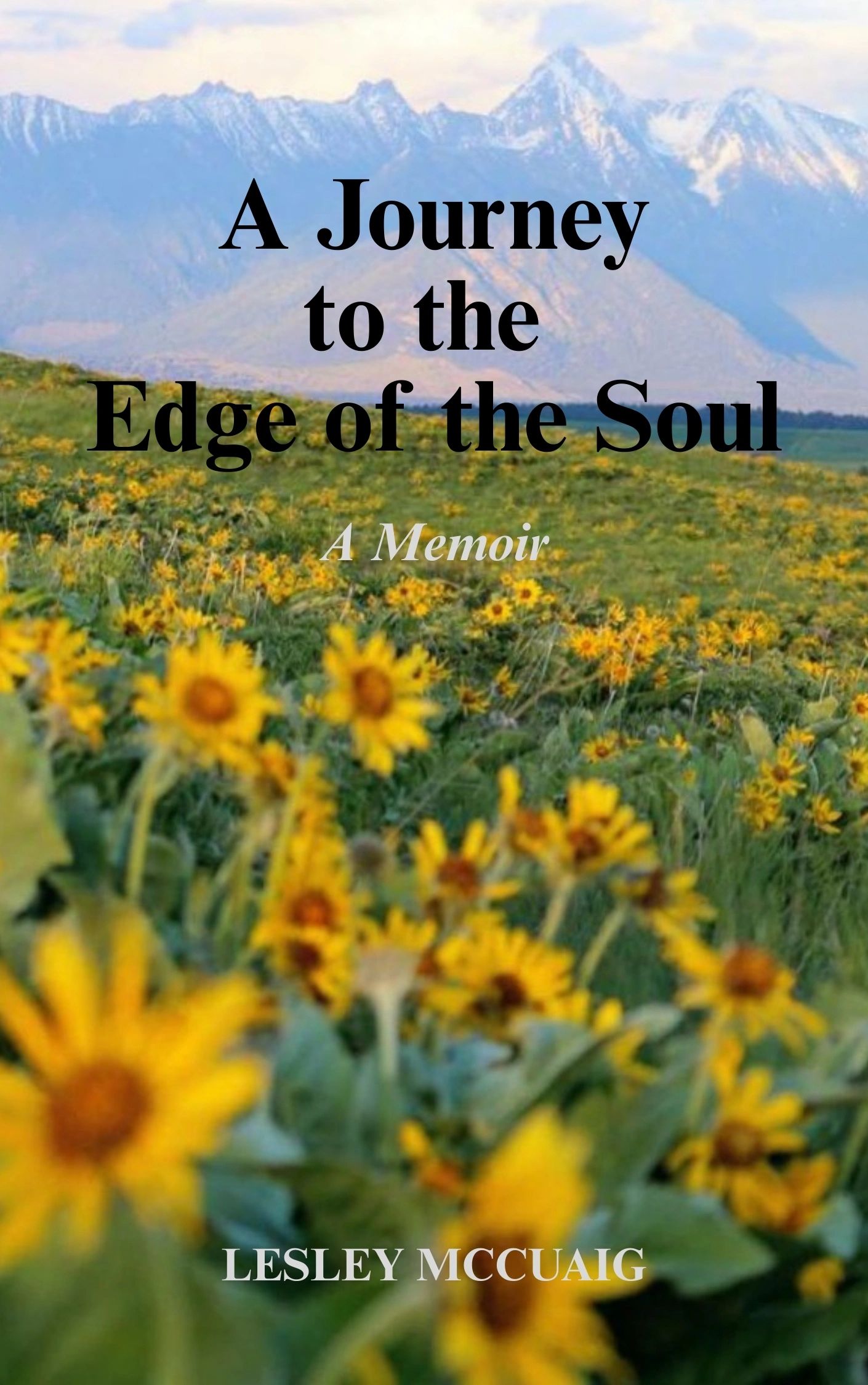 Cover of A Journey to the Edge of the Soul: A Memoir