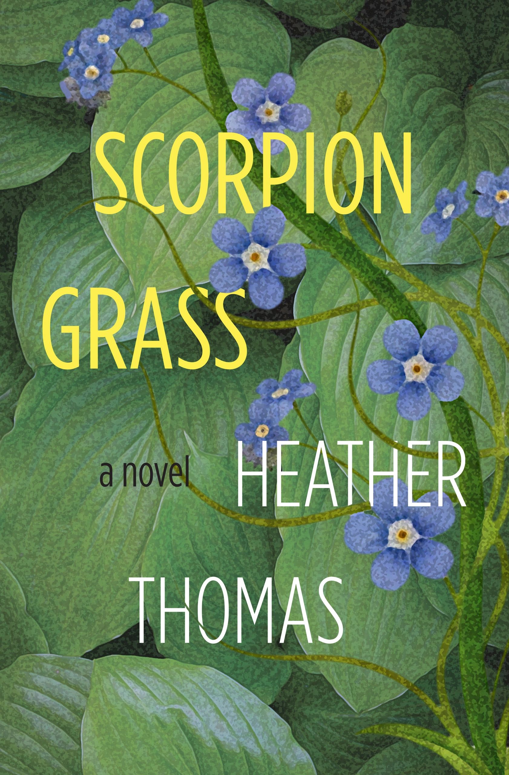 Cover of Scorpion Grass