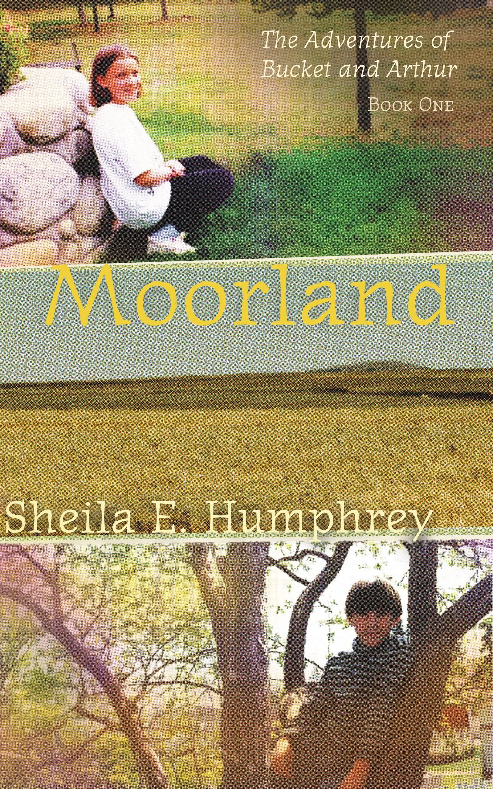 Cover of Moorland